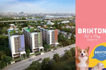 BRIXTON Pet & Play Sukhumvit 107